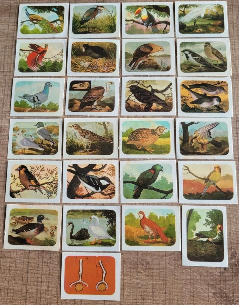 25 kleine prentjes: vogels, Verzamelen, Ophalen of Verzenden, Gebruikt, Dier, Prent