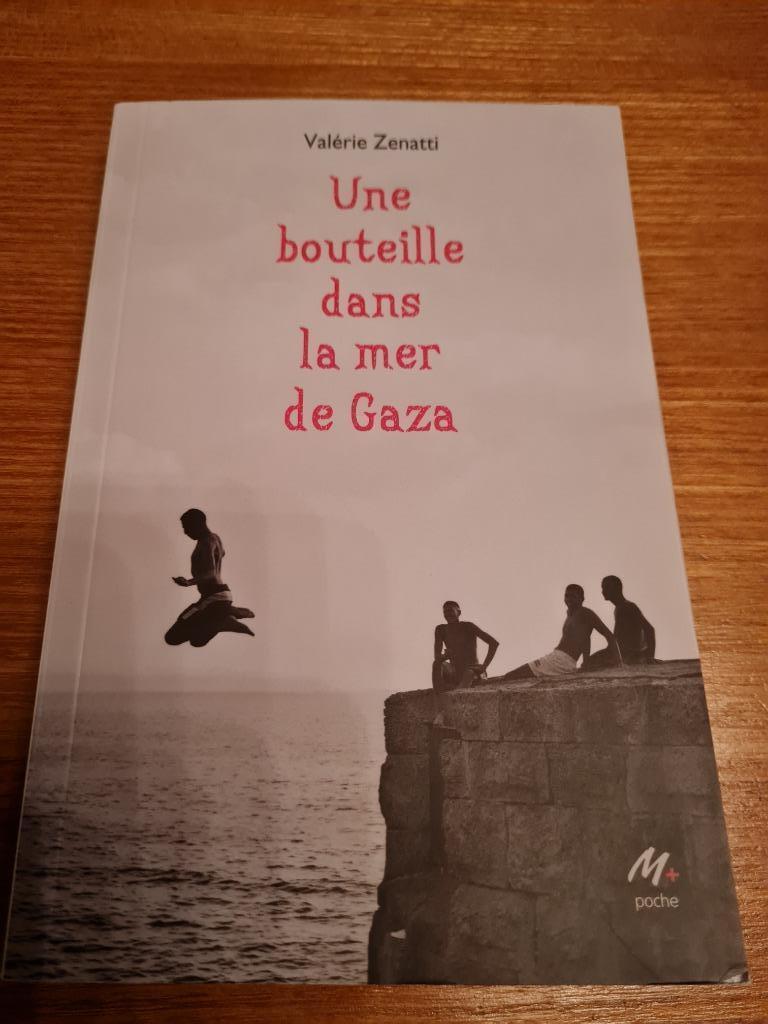 Une bouteille dans la mer de Gaza (Valérie Zenatti), Boeken, Ophalen, Zo goed als nieuw, Valérie Zenatti, Fictie