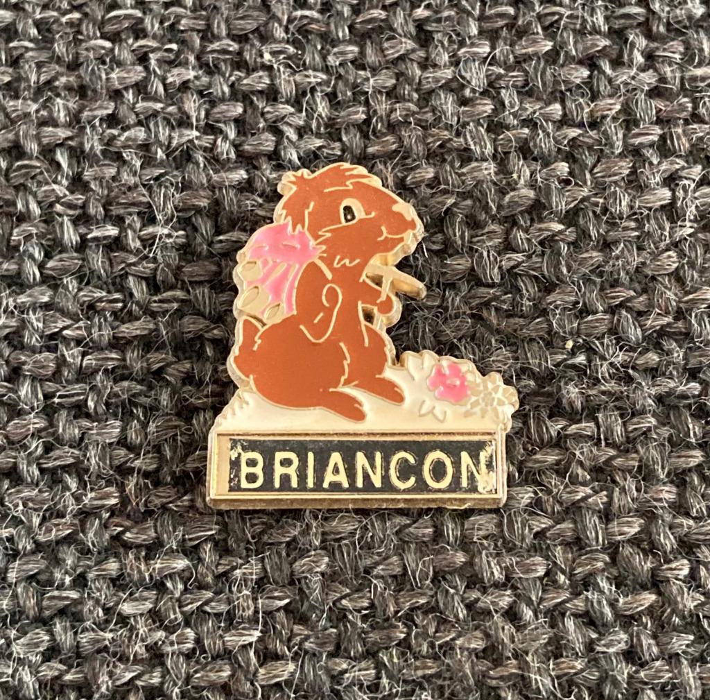 PIN - BRIANCON - FRANCE - BEVER - BEAVER - CASTOR, Verzamelen, Verzenden, Gebruikt, Stad of Land, Speldje of Pin