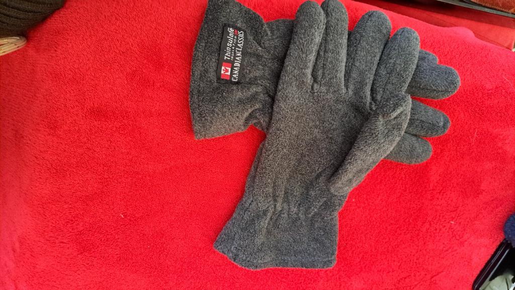 gants polar gris foncé Thinsulate L XL, Kleding | Heren, Ophalen of Verzenden, Handschoenen