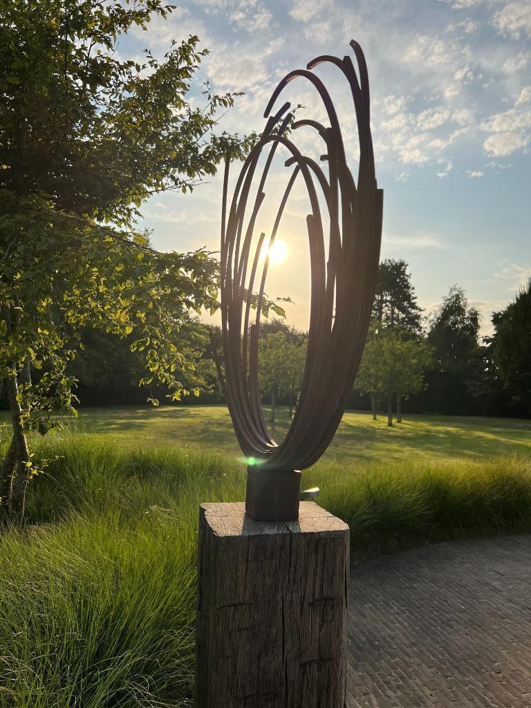 IJzeren sculptuur op hardhouten sokkel in eigen tuin, Ophalen of Verzenden