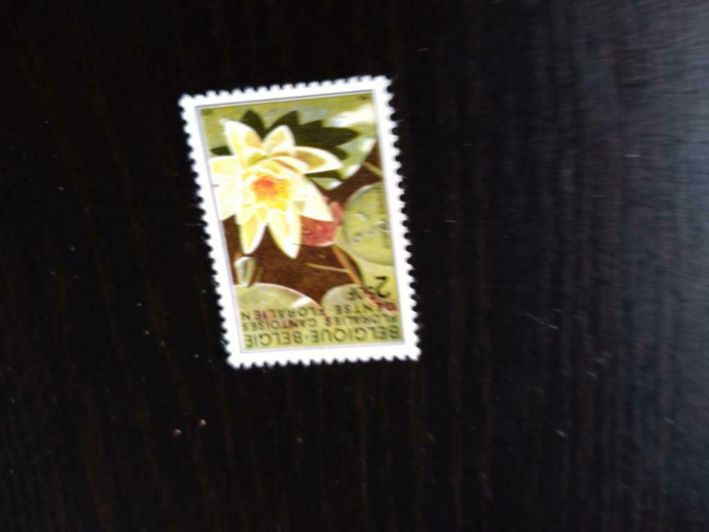 Belgie ongestempeld postzegel bloem, Ophalen of Verzenden