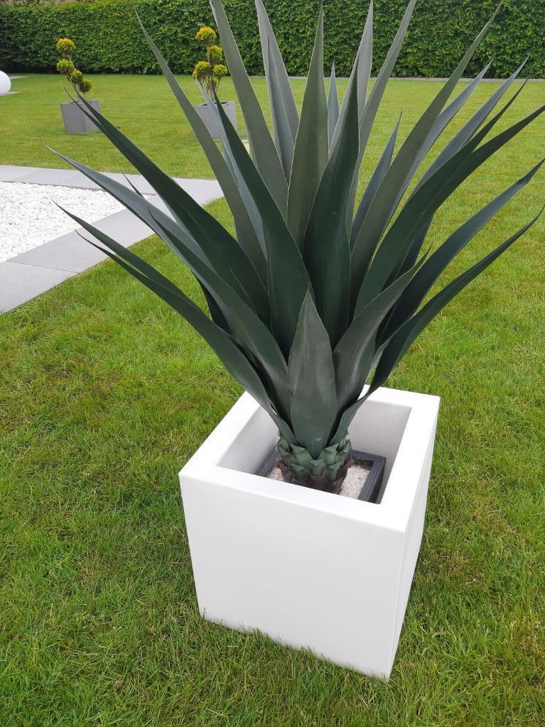 kunstplanten, Enlèvement, Comme neuf, Intérieur