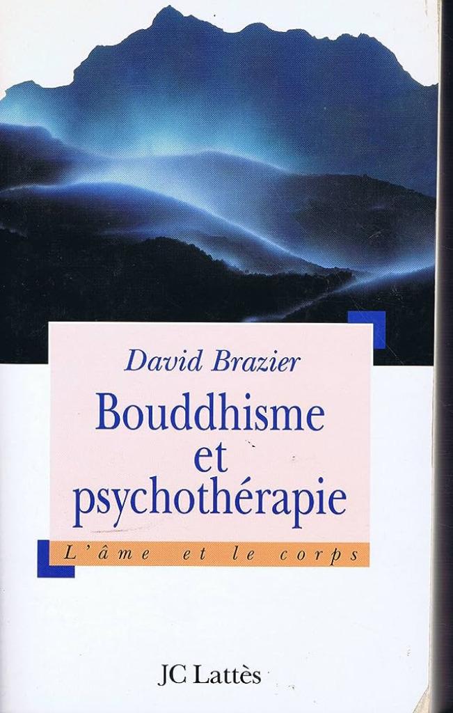 Bouddhisme et psychothérapie David Brazier, Enlèvement ou Envoi, Utilisé, Autres sujets/thèmes