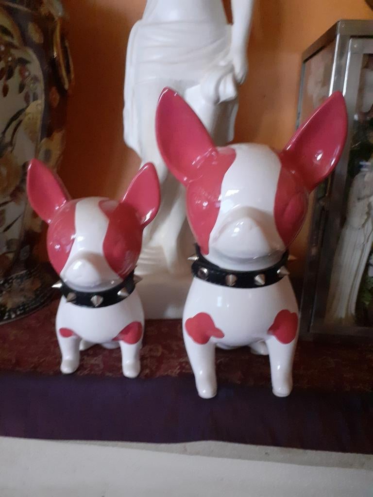 Postures chihuahua, Enlèvement