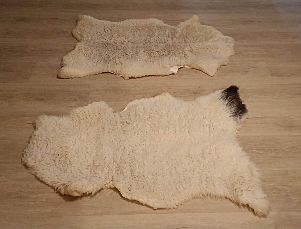 Twee echte schapenvellen, Ophalen of Verzenden, Zo goed als nieuw