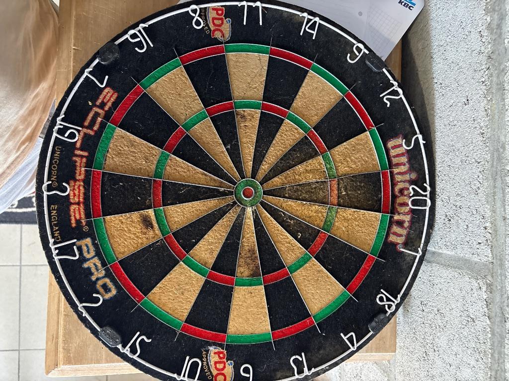 Darts, Sport en Fitness, Darts, Ophalen, Gebruikt, Dartbord