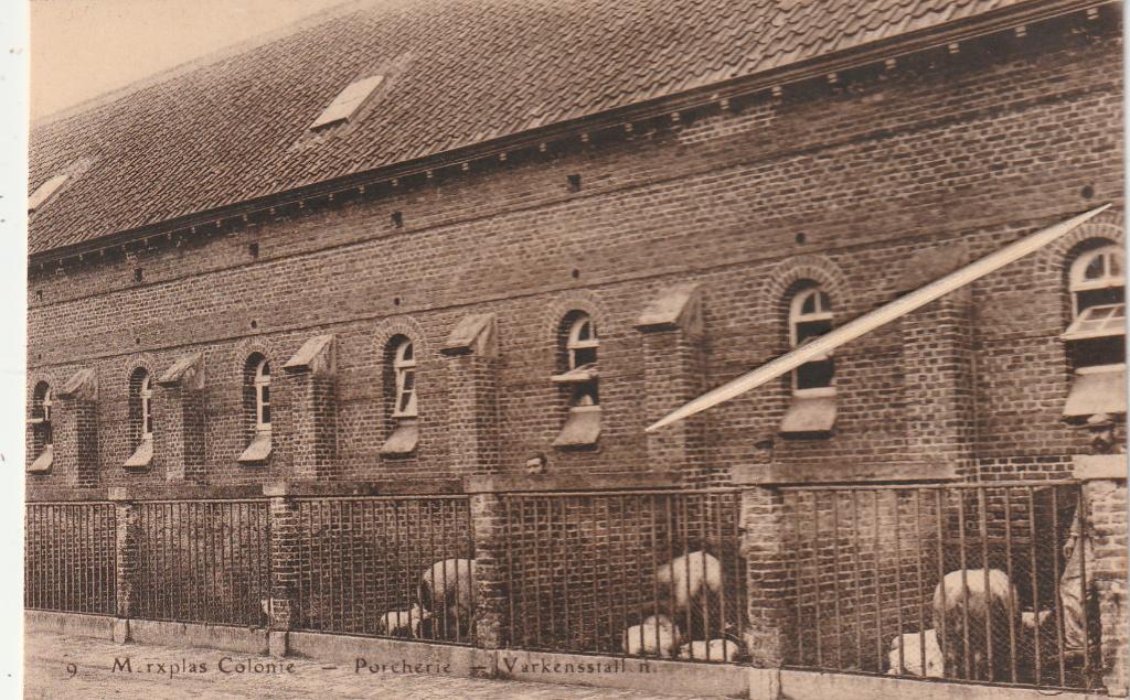 Carte postale Merksplas, Envoi