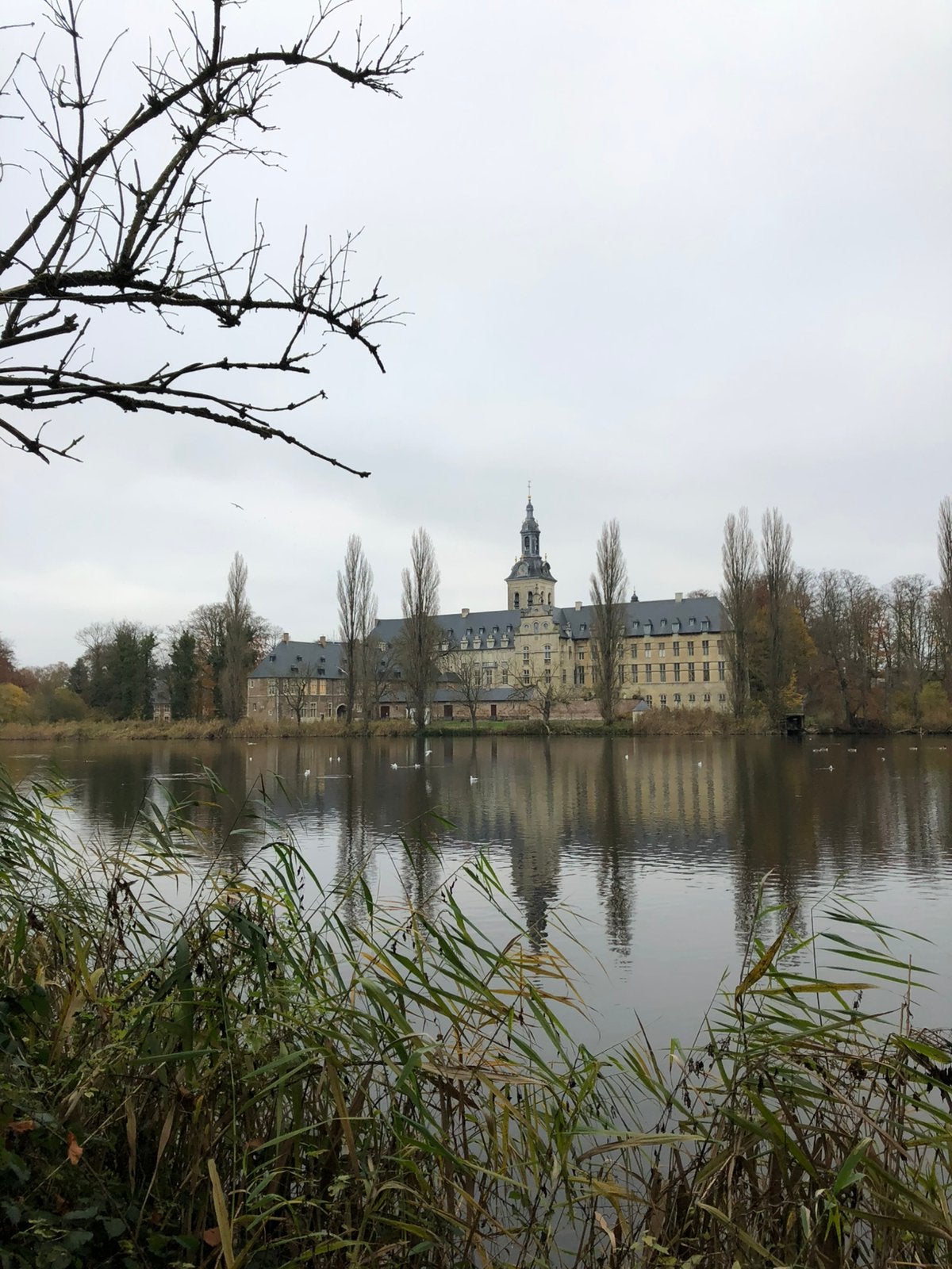 Grond met vijver, Immo, Antwerpen, 200 à 500 m²