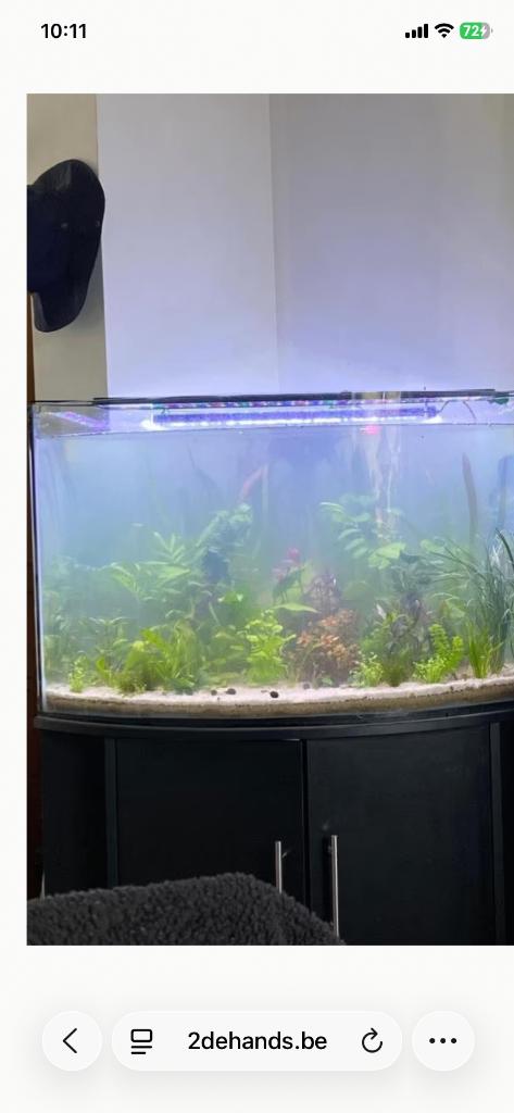 Aquarium, Dieren en Toebehoren, Ophalen, Gebruikt