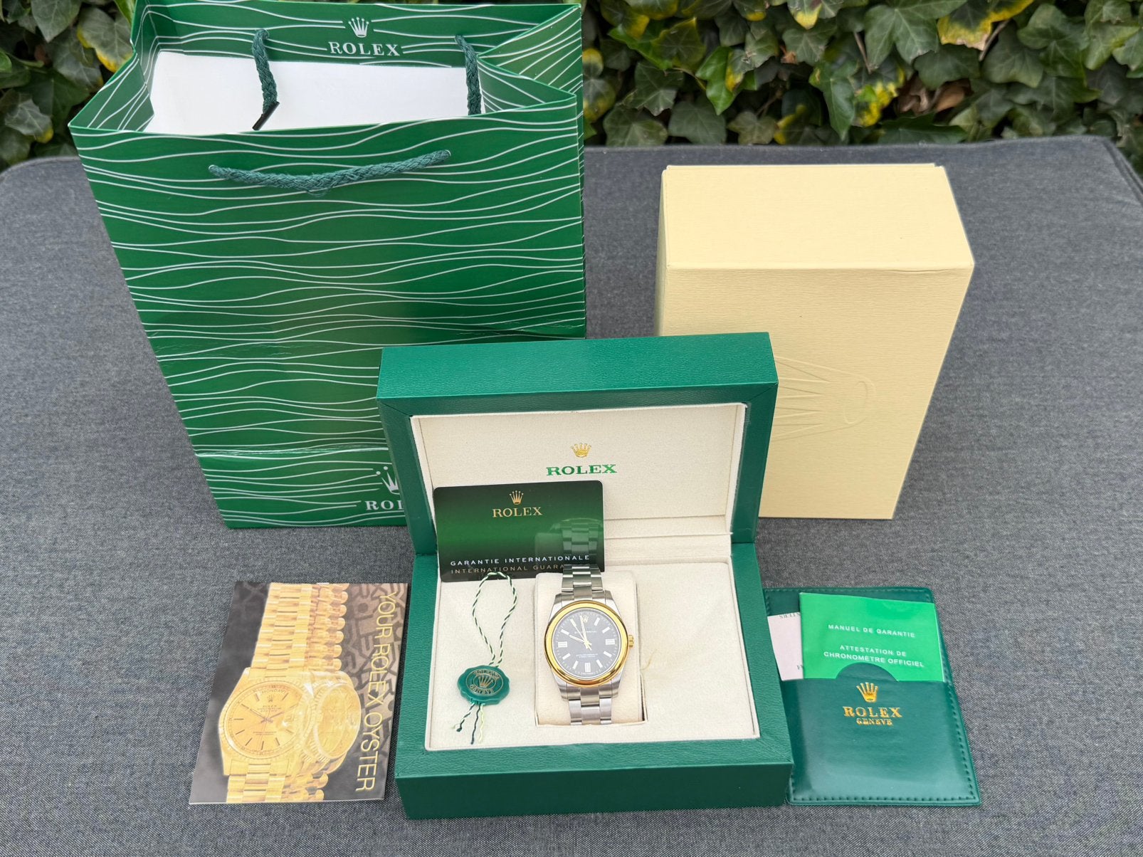 Rolex Oyster Perpetual 41, Handtassen en Accessoires, Staal, Polshorloge, Nieuw, Ophalen of Verzenden