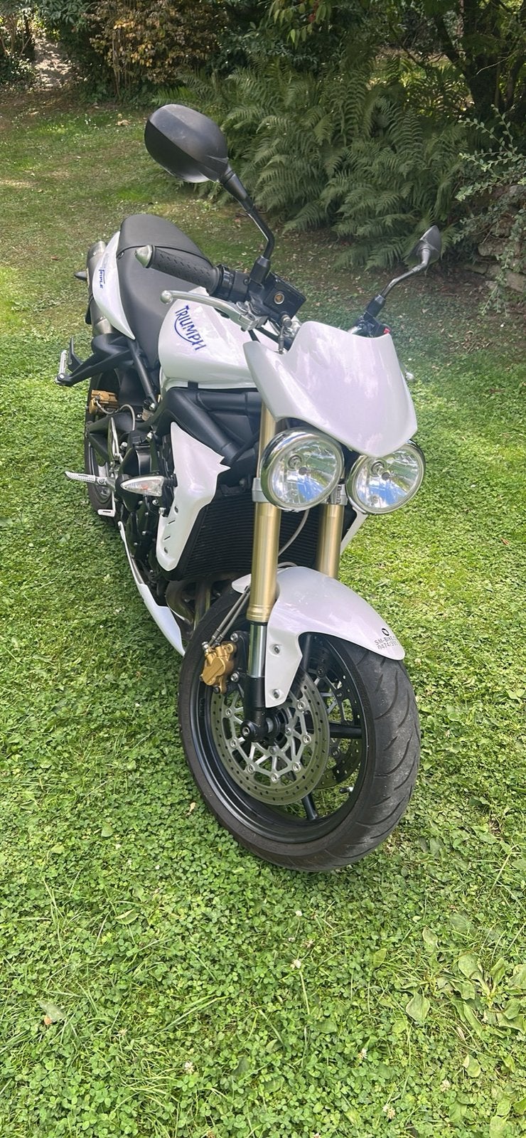Triumph streettriple 675, Occasion, Plus de 35 kW, Échappement sport, Particulier