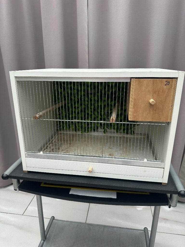 Kweekkooi parkieten of andere soorten, Dieren en Toebehoren, Ophalen, Zo goed als nieuw, Hout, Broedkooi of Kweekkooi