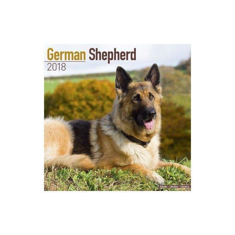 German Shepherd kalender 2018, Diversen, Kalenders, Nieuw, Jaarkalender, Ophalen of Verzenden