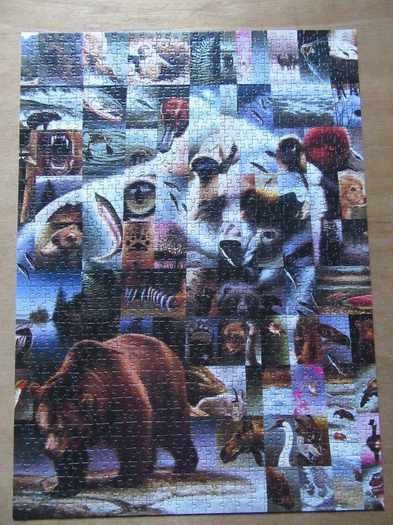 Puzzle mosaïque de 1000 pièces, Ophalen, 500 t/m 1500 stukjes, Gebruikt, Legpuzzel