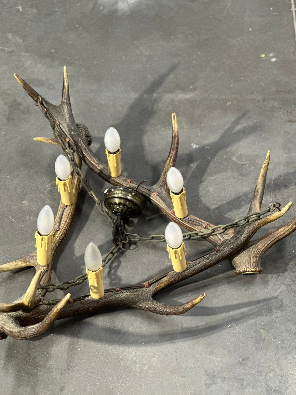 Gewei luster 6 lampen, Enlèvement
