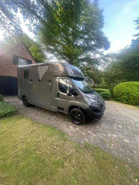 Paardencamionette te huur - rijbewijs B, Enlèvement, Utilisé, Autres matériaux, Autres types