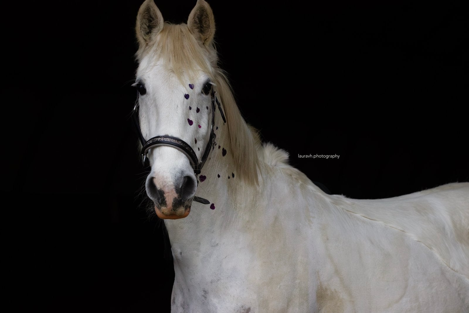 Tinker te koop, Merrie, M