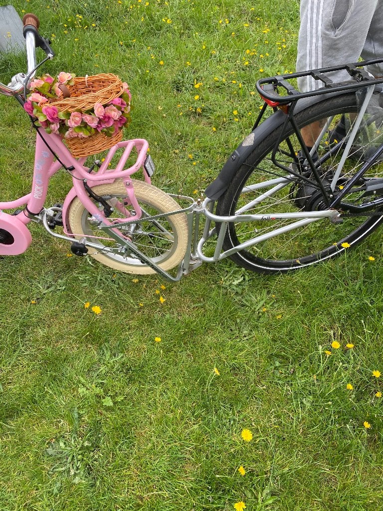 Follow me, Vélos & Vélomoteurs, Accessoires vélo | Remorques, Enlèvement, Utilisé