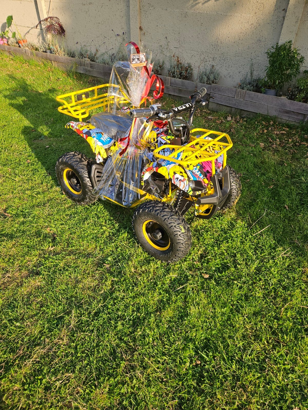 Quad pour enfants, Enlèvement