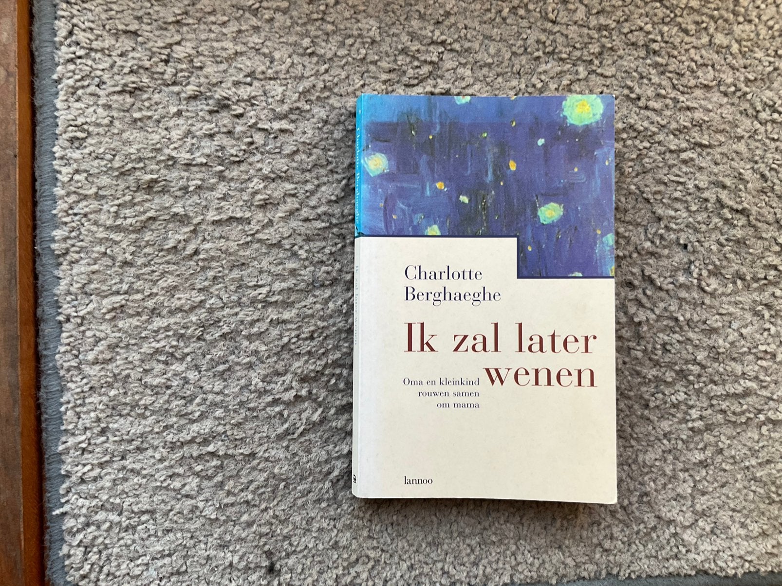 Ik zal later wenen - Charlotte Berghaeghe, Ophalen of Verzenden, Zo goed als nieuw