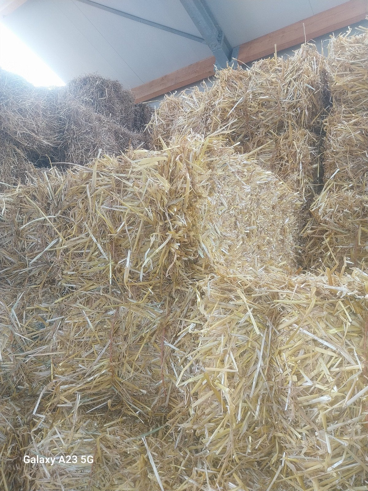 Paille, orge, petites balles, Enlèvement, Bétail