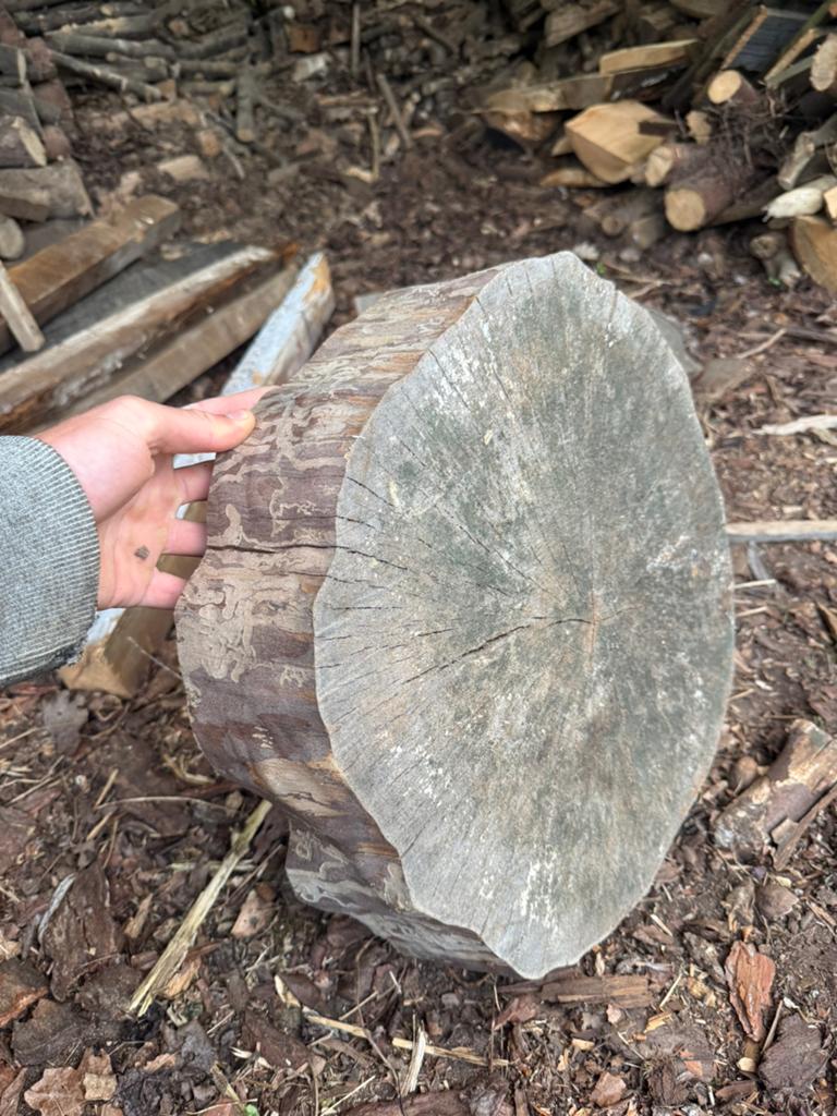 Boomschijven te koop ceder en paardenkastanje, Tuin en Terras, Grind, Keien en Split, Zo goed als nieuw, Ophalen