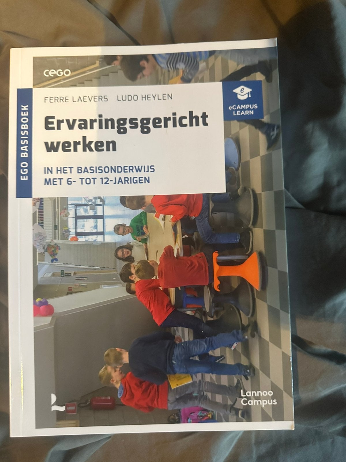 Ervaringsgericht werken in het basisonderwijs met 6- tot 12-, Boeken, Ophalen, Ludo Heylen; Ferre Laevers