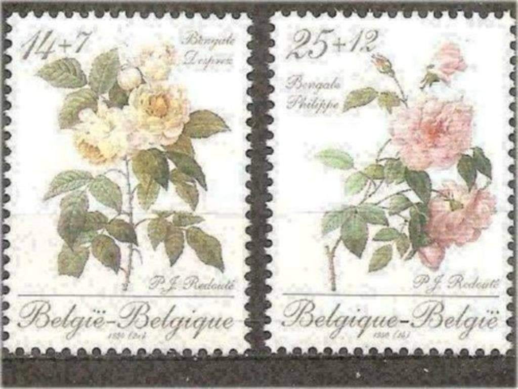 Belgie 1990 - Yvert 2354-2355 /OBP 2353-2354 - Flora (PF), Verzenden, Postfris, Postfris
