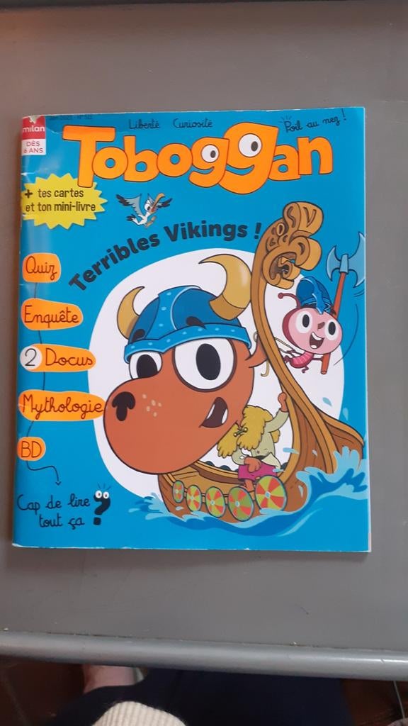 Livre toboggan numéro 511 vente estockage invendus, Enlèvement ou Envoi