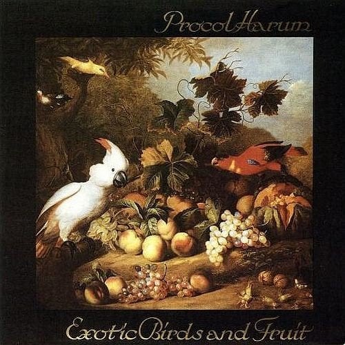 OISEAUX ET FRUITS EXOTIQUES PROCOL HARUM, Rock psychédélique, Pochette photo, Enlèvement ou Envoi, Utilisé