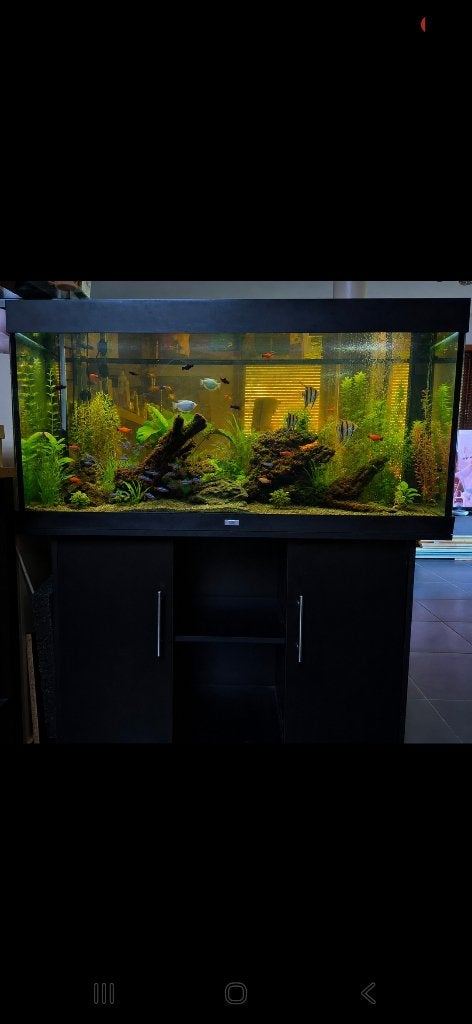 Aquarium in zeer goede staat. Moet weg wegens verhuis, Ophalen, Inclusief deksel, Overige typen, Zo goed als nieuw