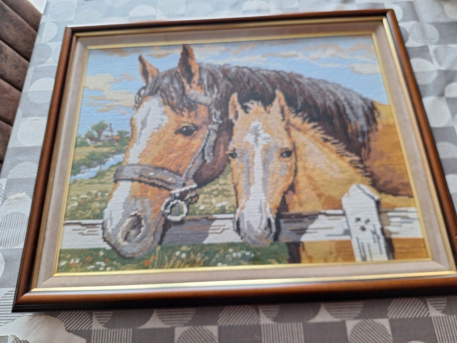 Cadre chevaux