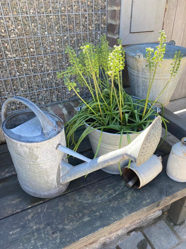 Zinke gieter, 2 emmers, 2 klokken, Tuin en Terras, Ophalen, Gebruikt, Overige materialen