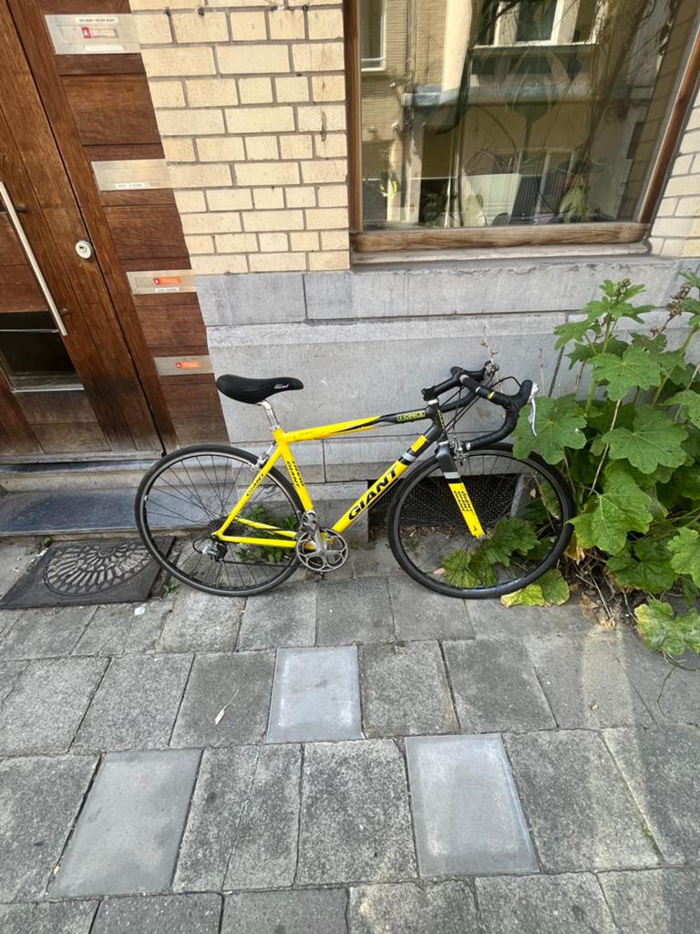 Race fiets van Jalabert / gaint TCR / COLECTORS ITEM!!, 26 pouces, 10 à 15 vitesses, Aluminium, Giant