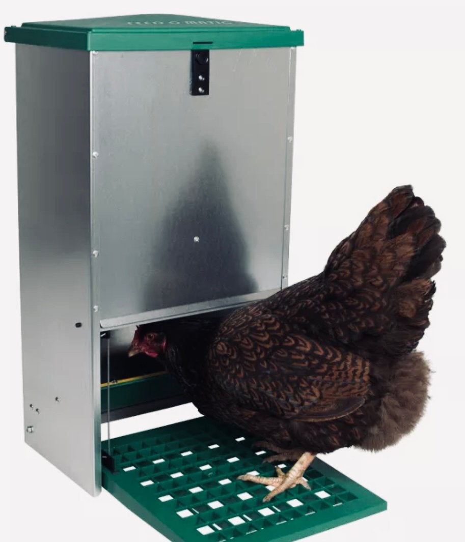 Mangeoire pour poules anti-nuisible 20 kg, Animaux & Accessoires, Enlèvement ou Envoi, Neuf, Abreuvement et Alimentation