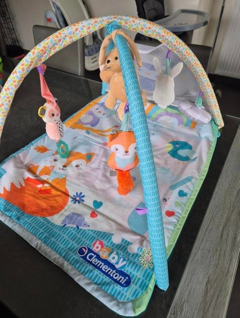 Baby Clementoni speelmat, Ophalen