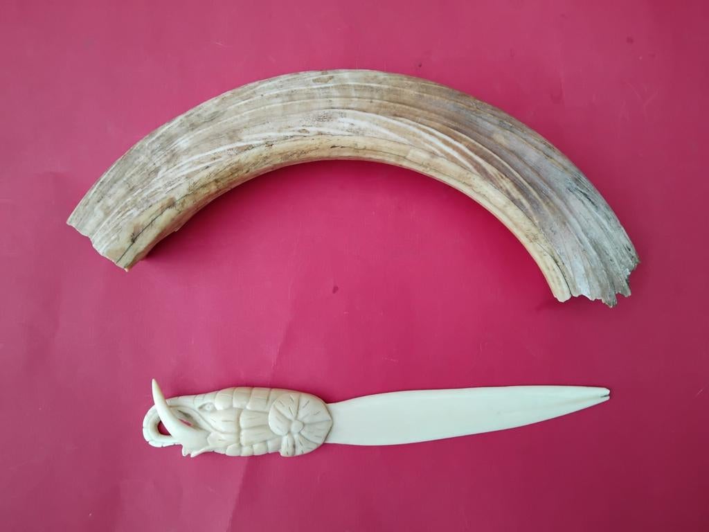 Objets anciens du Congo, Antiquités & Art, Enlèvement ou Envoi