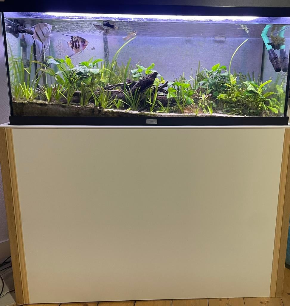 Aquarium Juwel 160l et filtre externe eheim, Dieren en Toebehoren, Ophalen, Gebruikt, Terrarium of Paludarium