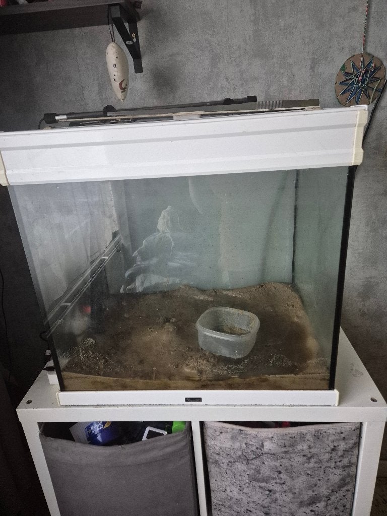 Aqarium, Dieren en Toebehoren, Ophalen, Gebruikt, Leeg aquarium