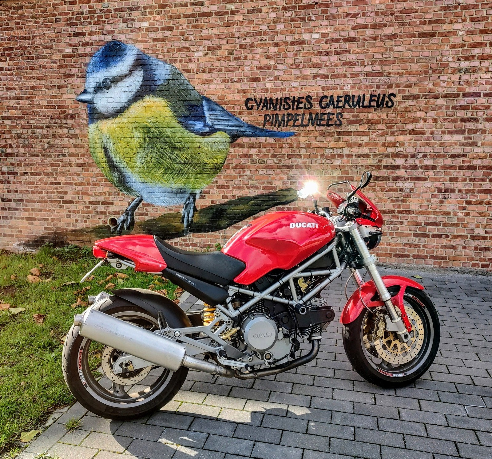 Ducati monster 620 ie., Motoren, Motoren | Ducati
