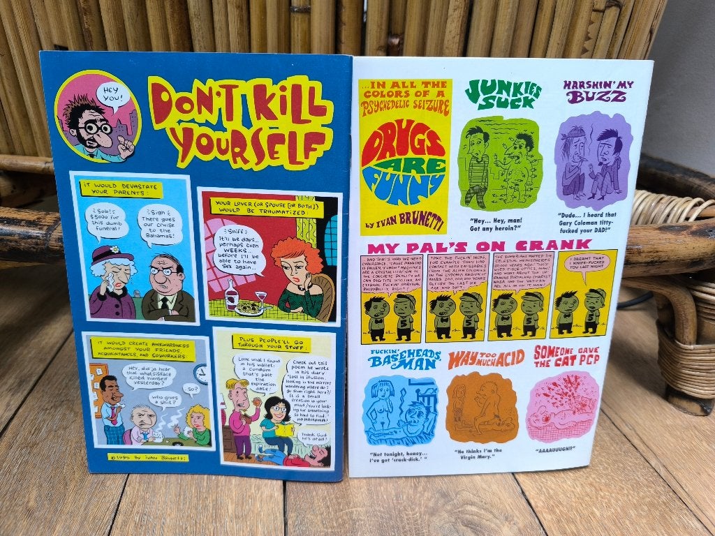 2 comics Schizo #2 #3 Ivan Brunetti, EO 1996 Fantagraphics, Livres, BD | Comics, Enlèvement ou Envoi, Comics, Amérique, Ivan Brunetti