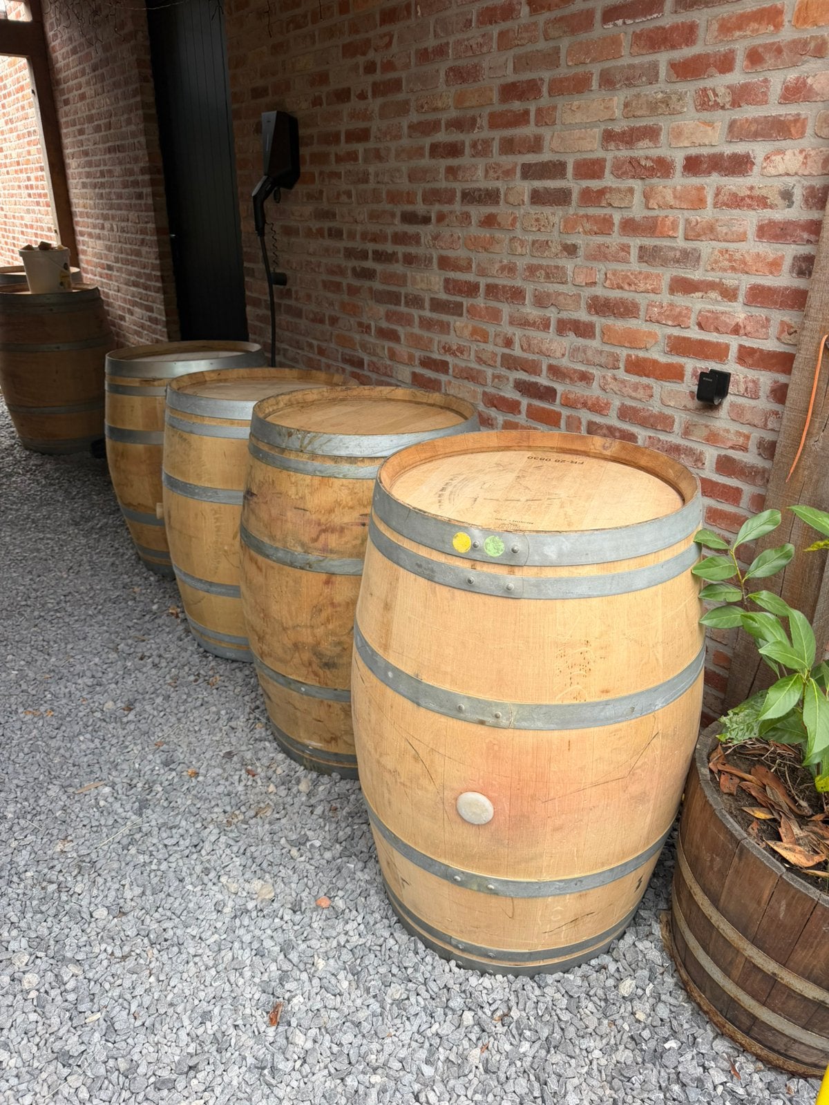 Tonneau à vin en chêne, tonneau à vin, Enlèvement, Comme neuf