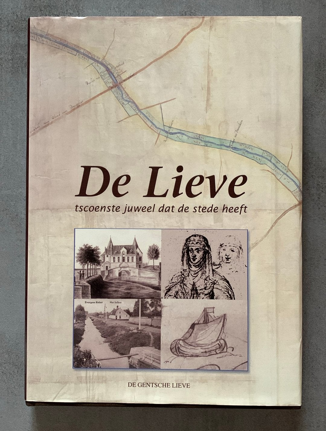 De Lieve, Boeken, Ophalen of Verzenden, Zo goed als nieuw