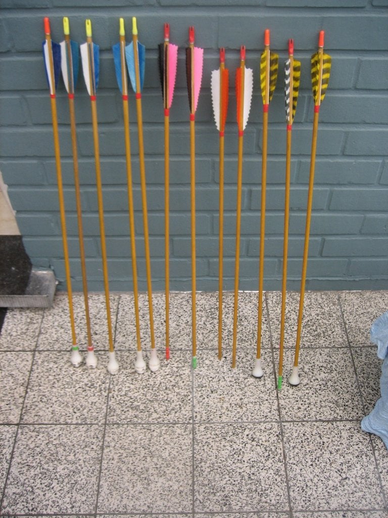 Pijlen Double Super Flight, Enlèvement ou Envoi, Utilisé, Flèches