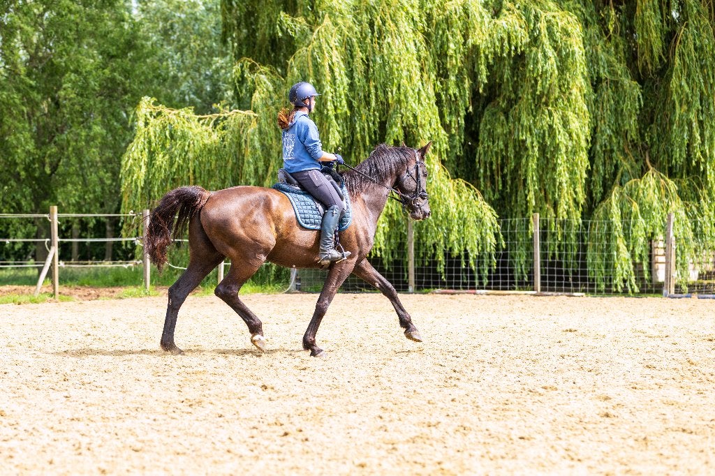 Lesgeefster aangeboden (gratis wedstrijdbegeleiding), Dieren en Toebehoren, Paarden, Niet van toepassing
