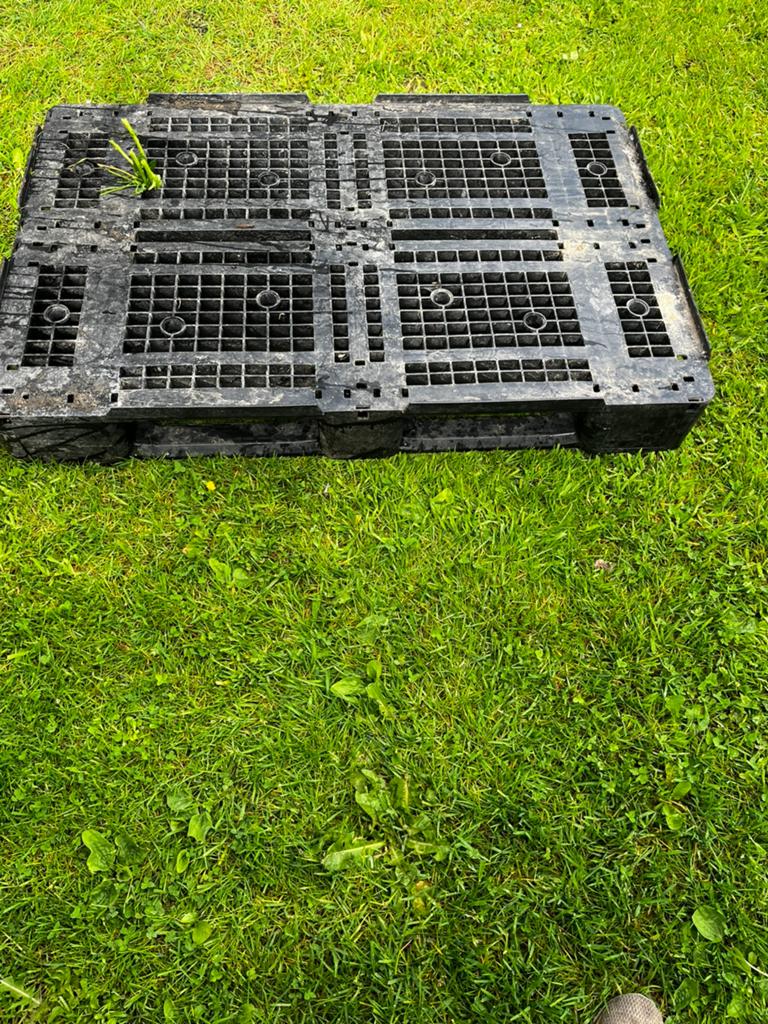 Plastic palleten, Ophalen, Gebruikt, 100 cm of meer, 60 cm of meer