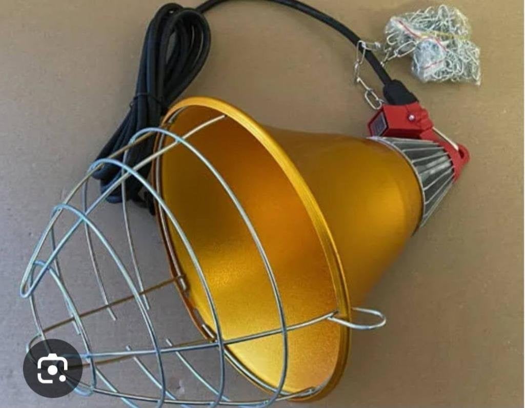 NIET TE KOOP ! IK ZOEK ZELF EEN *WARMTELAMP* / Regio W-VL !, Ophalen of Verzenden