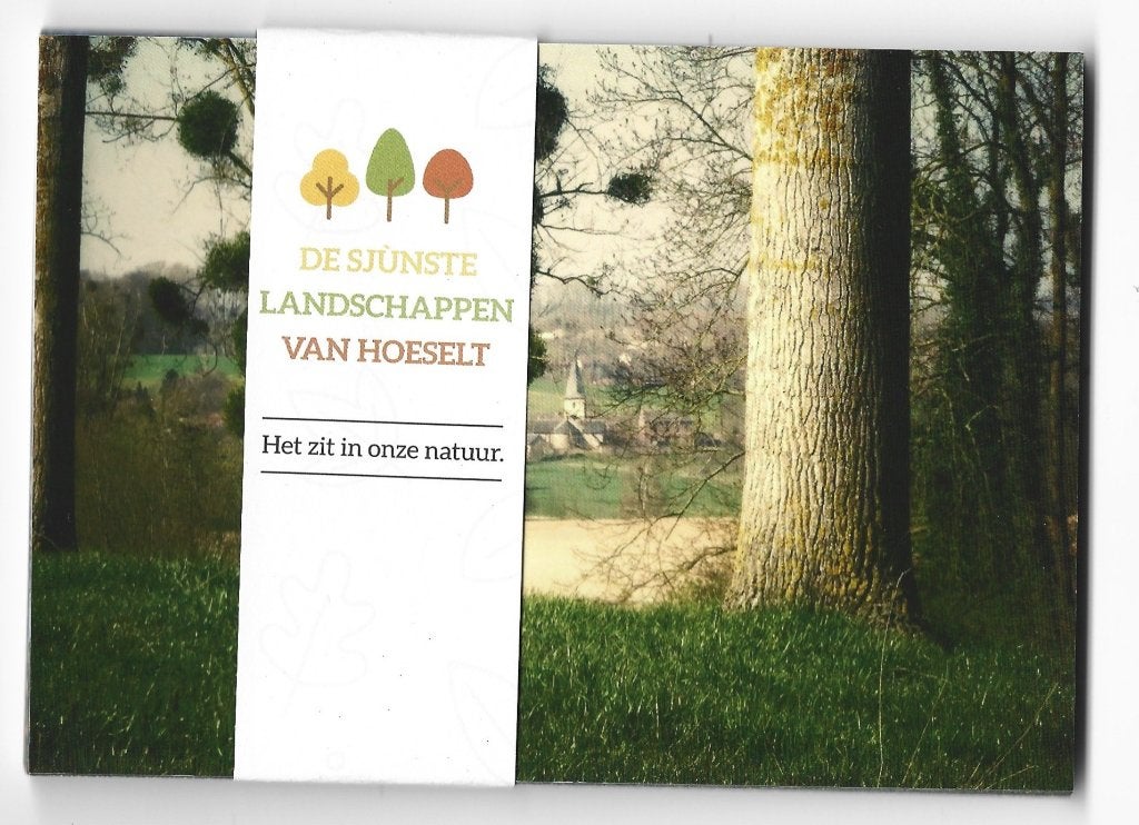 12 x HOESELT - De sjunste landschappen van Hoeselt, Verzenden, 1980 tot heden, Ongelopen, Limburg