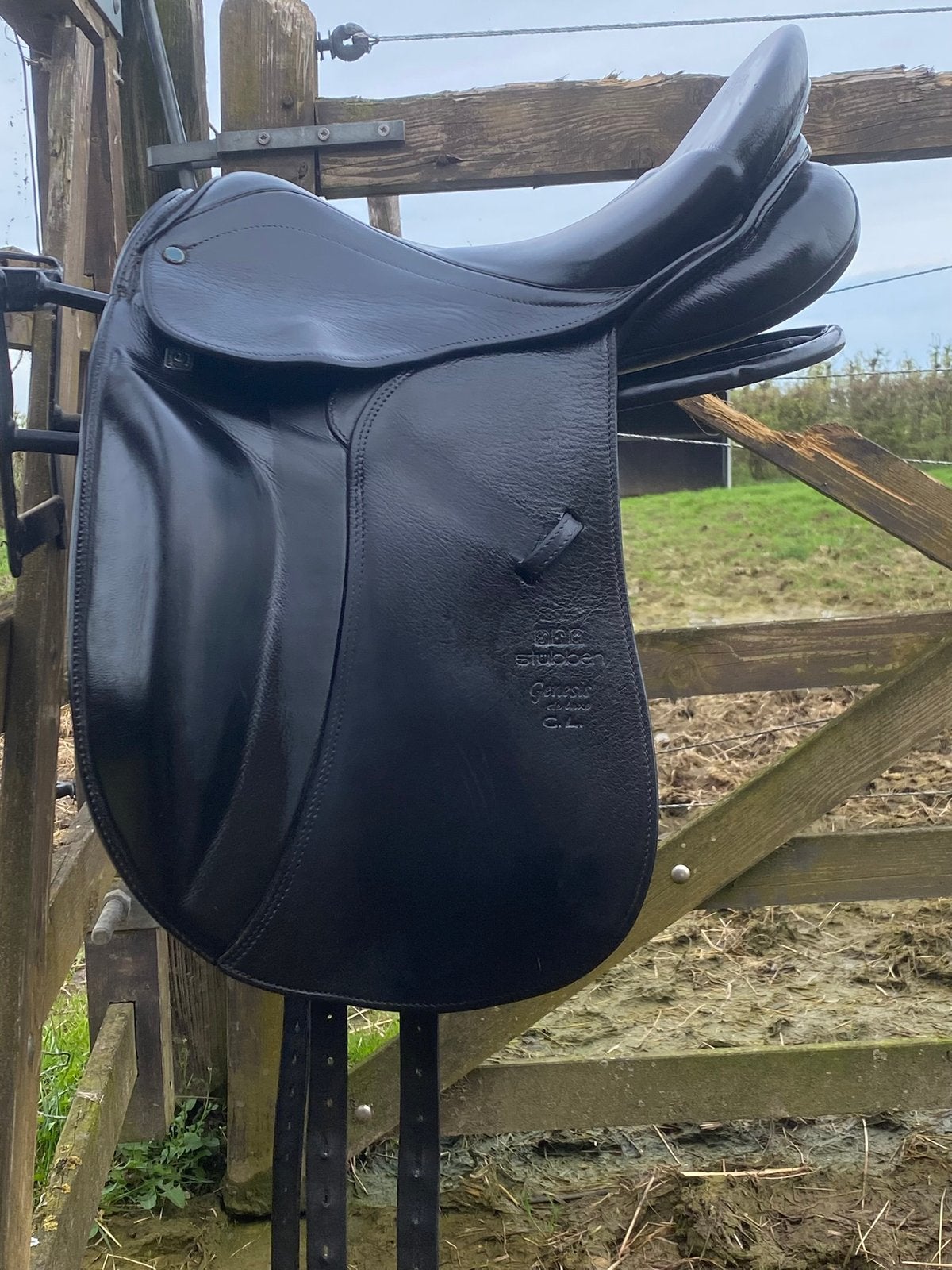 Mooi Stübben dressuurzadel, Dieren en Toebehoren, Paarden en Pony's | Zadels, Ophalen, Dressuur, Stubben, M (17 inch)
